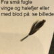 DNA-Kønstest