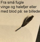 DNA-Kønstest